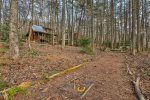 Horse Shoe Area